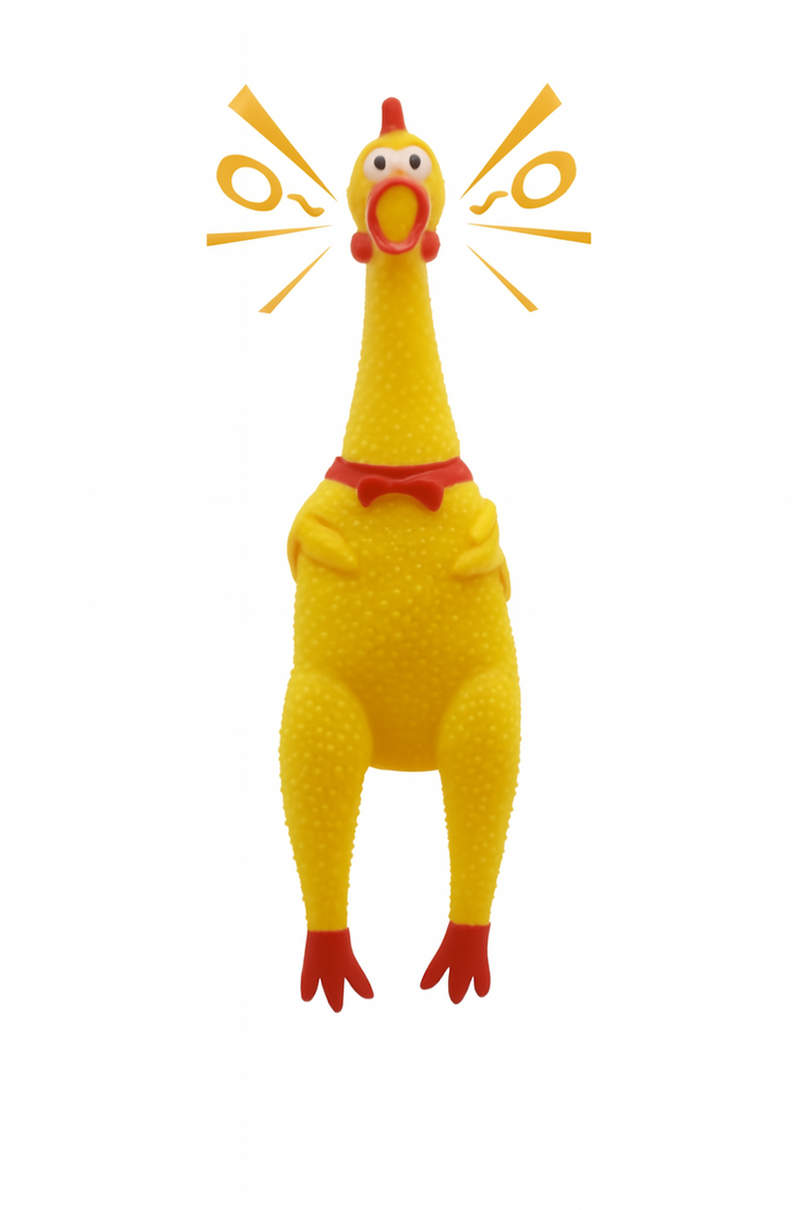 Rope Tug Toy and Squeaky Chicken