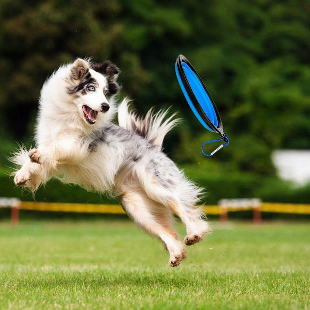 2 in 1 Dog Drinking Water Bottle With Bowls